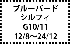 G10/11　12/8～24/12