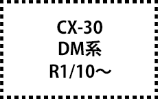 DM系　R1/10～