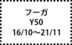 Y50/PNY50/PY50/GY50　16/10～21/11