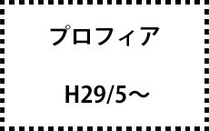 H29/5～