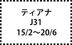 J31/TNJ31/PJ31　15/2～20/6