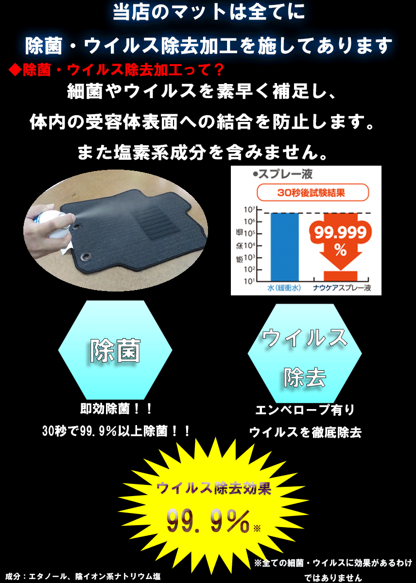 フロアマット　三菱　MITSUBISHI　ekワゴン/ekスポーツ　H82W　18/9～25/6　カーマット　抗菌　抗ウイルス　消臭　エコノミータイプ
