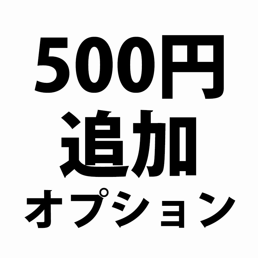 500円追加オプション